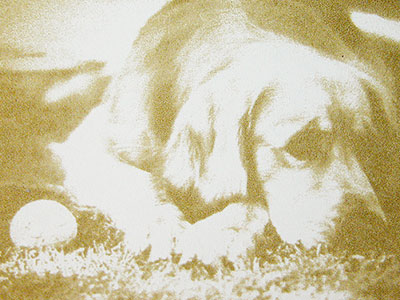 Logo and Image Marking LogoMark